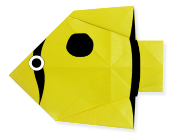 butterflyfish