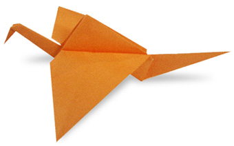 flap