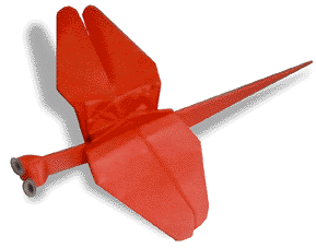 gragonfly