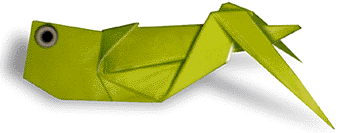grasshopper