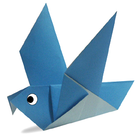 pigeon
