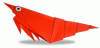 prawn
