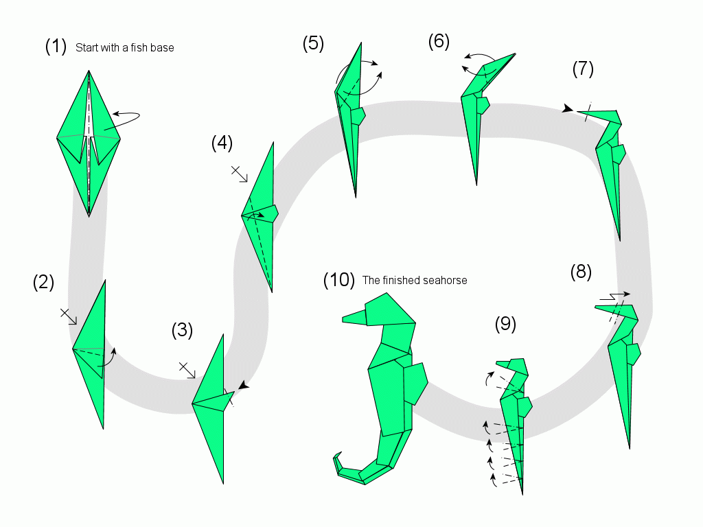 seahorse_diag