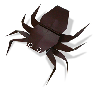 spider